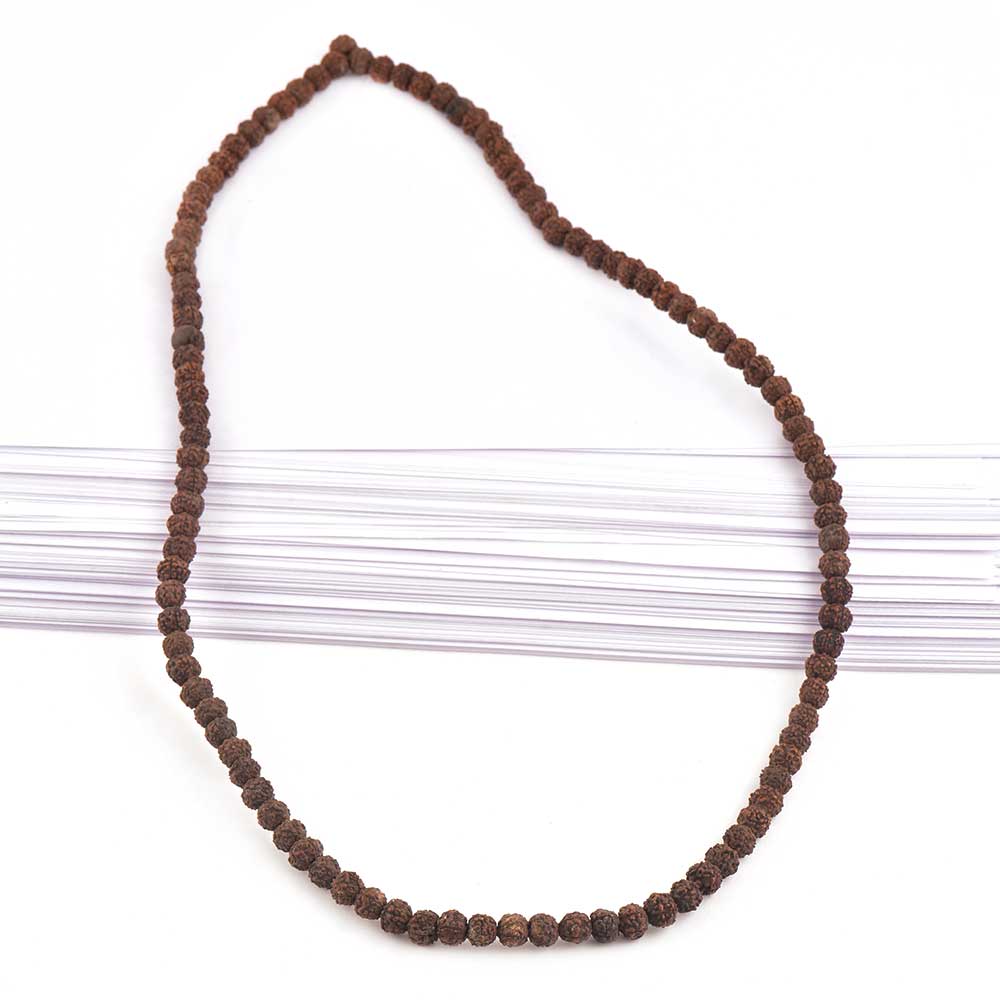 Product Details & Build Quality