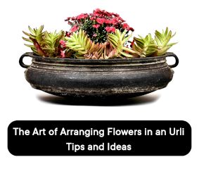 The Art of Arranging Flowers in an Urli: Tips and Ideas
