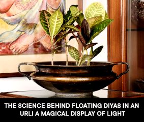 The Science Behind Floating Diyas in an Urli- A Magical Display of Light