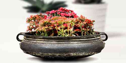 Urli, Pots & Planters
