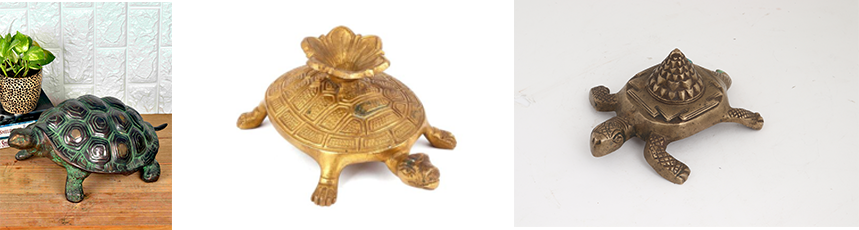 Tortoise to enhance the ambience of your house