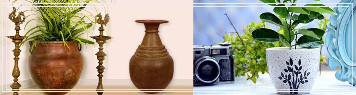 PLANTS WITH STUNNING PLANTERS