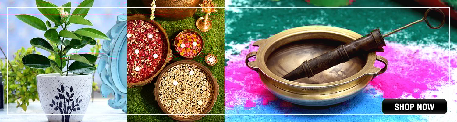 Buy urli, pots, planters