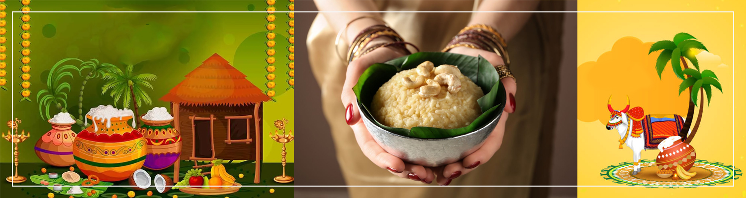 Pongal Festival