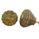 Golden Brass Wire Knobs