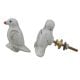 Small White Sparrow Bird Knob