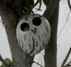 Owl Ceramic Bird Knob
