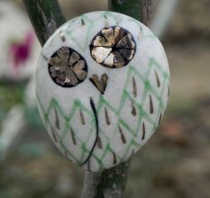 Green Owl Cabinet Bird Knob