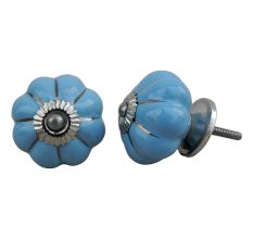 Sky Blue Silver Knob