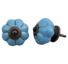 Sky Blue Silver Knob