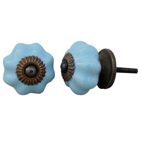 Sky Blue Medium Knob