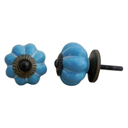 Sky Blue Medium Knob
