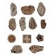 Set  of 12 piece New Wooden Printing Block
