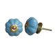 Sky Blue Melon Knob
