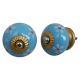 Turquoise Flower Knob