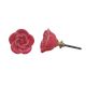 Dark Pink Rose Knob