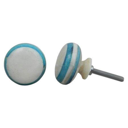 Turquoise Bone Flat Knob