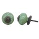 Pea Green Floral Knob