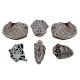 Set of 6 Piece New Mix Wooden Printing Block