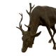 Life Size Bronze Deer