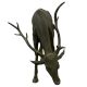Life Size Bronze Deer