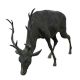 Life Size Bronze Deer