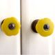 Yellow Tulip Knob