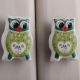Green Owl Flat Ceramic Knob