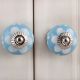 Blue Flower Knob