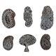 Set of 6 Piece New Mix Wooden Printing Block