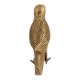Bronze Brass Parrot Statue