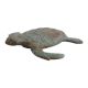 Bronze Turtle with Light Patina