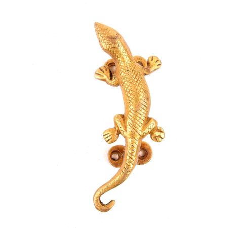 Brass Lizard Door Handles Pulls