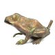 Bronze Frog Sculpture
