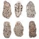 Set of 6 Piece New Mix Wooden Printing Block