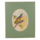 Chirping Birds Hand Painted Silk Painting