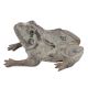 Bronze Frog Toad Statue