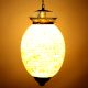 Shell Oval Shape Glass Ceiling Lamps
