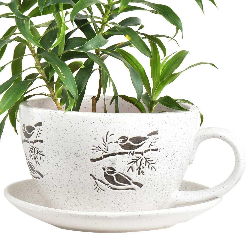 Bird On Branch Ceramic Cup Saucer Planter Pot