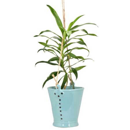 Blue Handcrafted Ceramic Planter