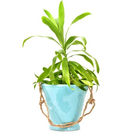 Blue Handcrafted Ceramic Planter