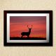 Deer Wall Painting