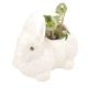 Ceramic  White Hand Crafted Miniatures Rabbit Flower Pots