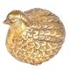Brass Quail