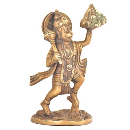 Lord Hanuman Statue with Mountain of Herbs