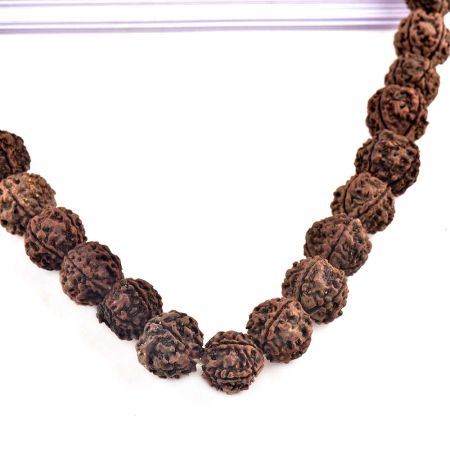 Rudraksha Mala for Shiv Pooja
