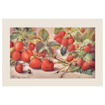 Strawberry Rasberry Seamless Pattern Poster