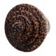 Round Wood Knobs