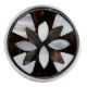 Mixed Shell Floral Metal Knobs Online
