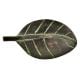 Brass Handmade Leaf Shaped Knob With Green Patina